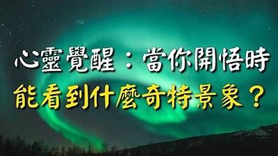 自怕视频：揭示心灵深处的恐惧与不安