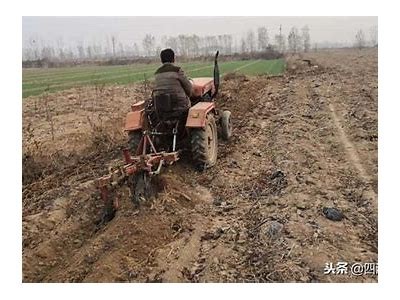 国产拖拉机高效伐树视频，农村土地开发新利器