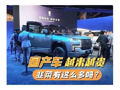 小伙买国产车全记录，体验与评价大揭秘！